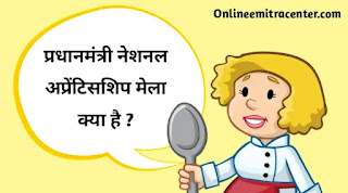 प्रधानमंत्री नेशनल अप्रेंटिसशिप मेला क्या है ? पूरी जानकारी।