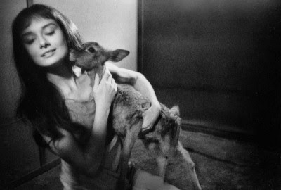 Las mascotas de Audrey Hepburn