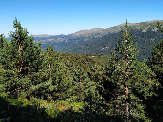 Subida al Peñalara . Techo de Madrid y Segovia. Parque Nacional de Guadarrama