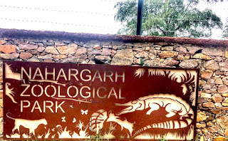 Nahargarh Biological Park Timings