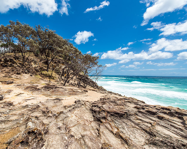 Simple Trees Ocean Wallpaper.1280 x 1024 resolution wallpapers,ocean wallpapers