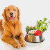 Makanan Sehat Untuk Anjing Kesayangan