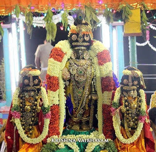 Parthasarathy Perumal, Maasi Sravanam, Thiruvonam Purappadu,  Trplicane,  Purappadu, Thiruvallikeni, Utsavam, 