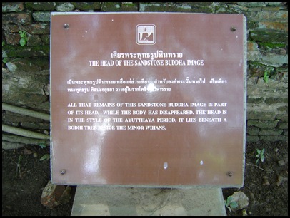 DSC02560
