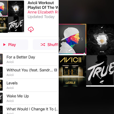 Avicii Workout Playlist of the Week by AnneElizabethRD on Apple Music and Spotify