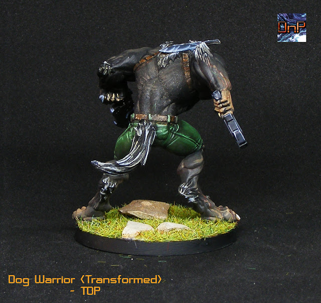 Imagen de Dog Warrior infinity