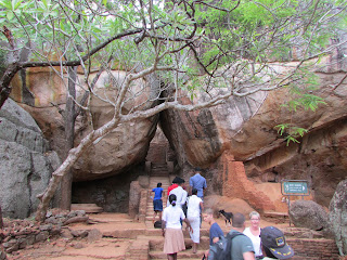 Leeuwenrots Sri Lanka 