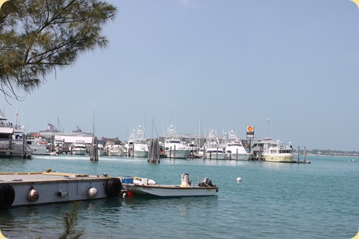 Glass Bottom Boat, etc 072