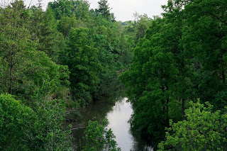 Looking over bridge on Finch Ave overlooking thick ravine