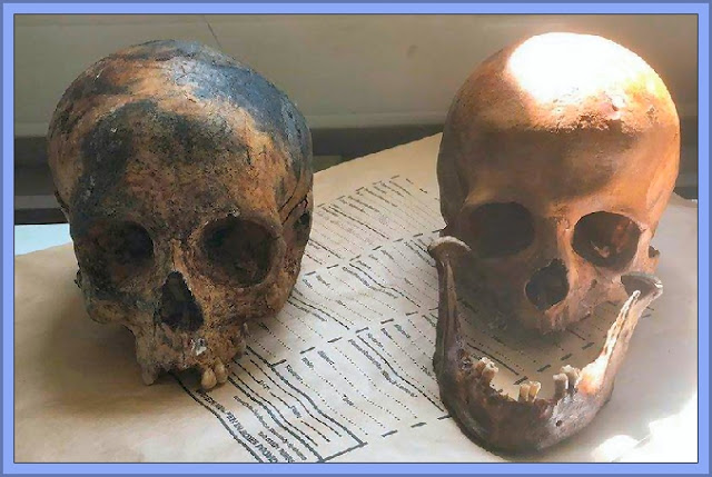 The Totnes Skulls