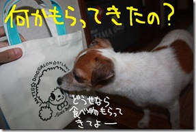 今日カズ１００９０６　１