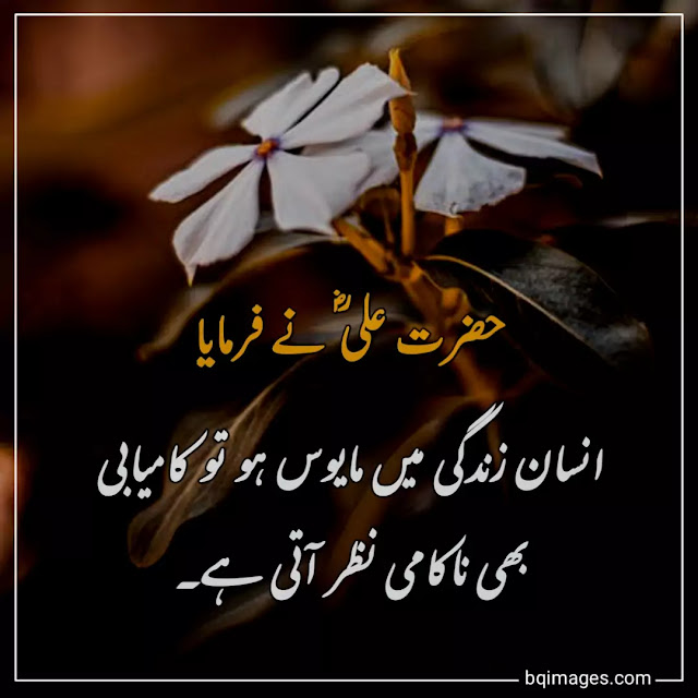 quotes of hazrat ali in urdu