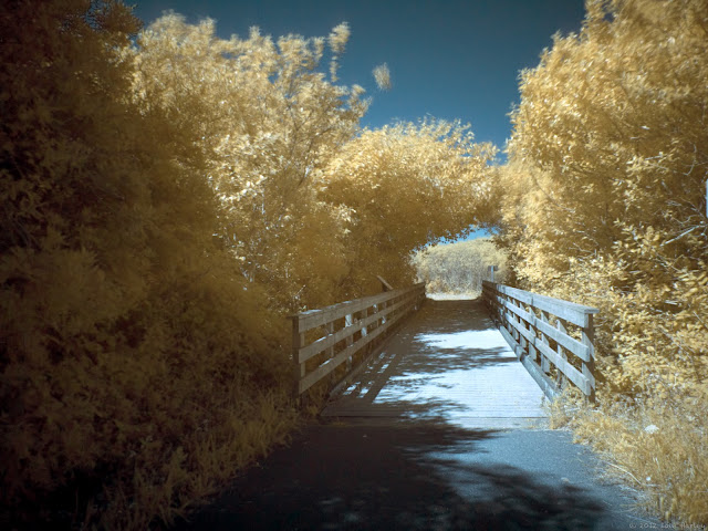 Infrared foot bridge