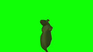 dancing rat meme green screen template download