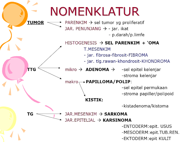 Nomenklatur