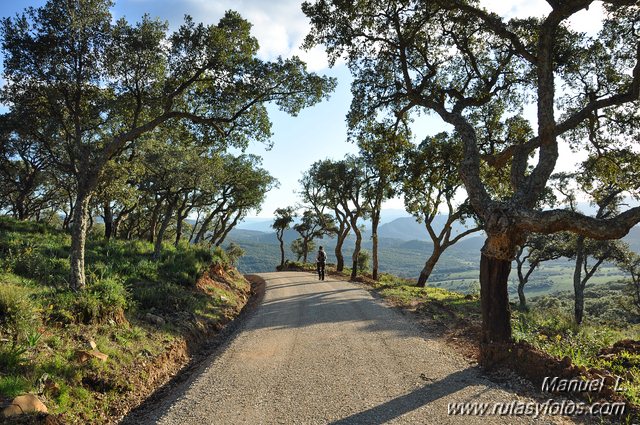 Finca Murta