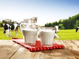  Cow milk is a great source of vitamin D and calcium.