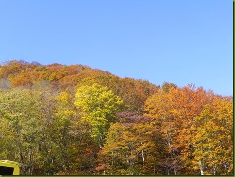 DSCN0653