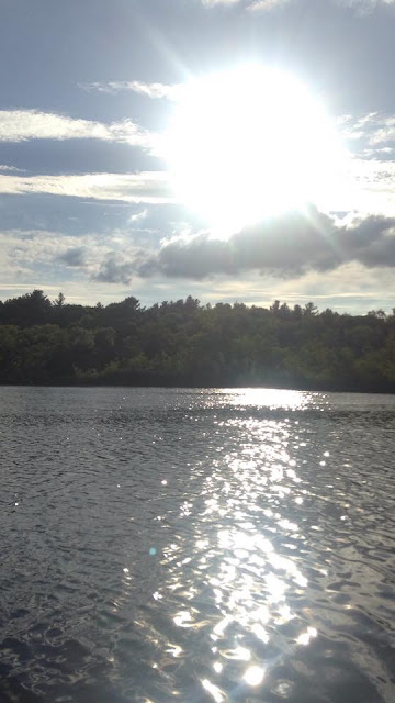 Turtle Pond, a hidden gem of Boston, in Hyde Park