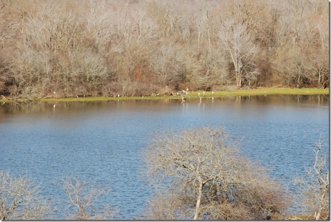 11-23-12 A Travel on I-40 012