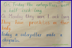 photo of: Anchor Chart with Caterpillar Observations (via RainbowsWithinReach)