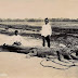 3 orang penangkap buaya di Surabaya, 1915