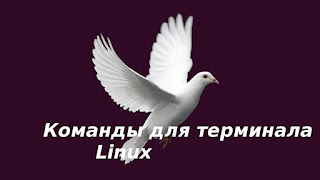 Команды для терминала Linux