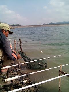 mancing nila wadaslintang