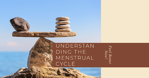 Understanding the Menstrual Cycle A Guide for Women