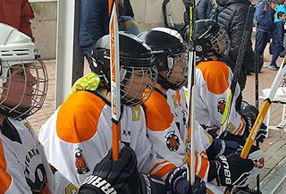 Hockey Línea Tigres