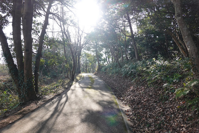 鳥取県西伯郡大山町妻木 むきばんだ史跡公園 弥生の森