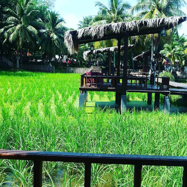 Tempat Makan Best di Langkawi