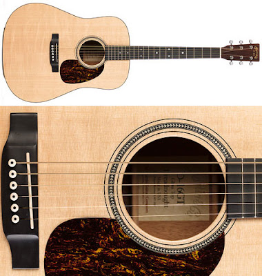 The Steel String Acoustic Guitars type
