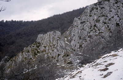 Camino a seguir