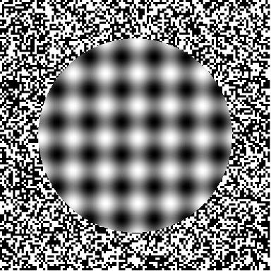 illusions in art. The Ouchi Illusion II - This