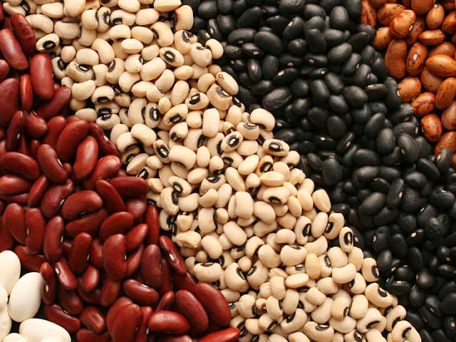 5 types of beans