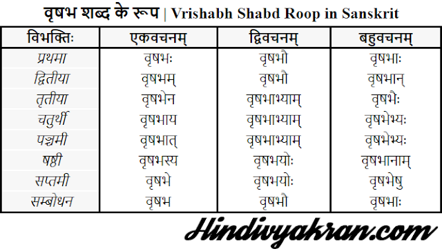 वृषभ शब्द के रूप | Vrishabh Shabd Roop in Sanskrit
