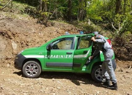 Scanzano Jonico: Forestale scopre “smaltimento illecito di rifiuti speciali non pericolosi"