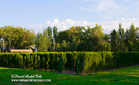 Bocal Visita por el Moncayo Ribera del Ebro Canal Imperial de Aragon