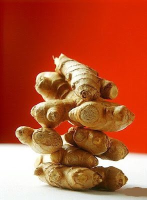 
Τζίντζερ / Ginger
