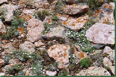 P1110250