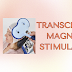 Transcranial Magnetic Stimulation TMS