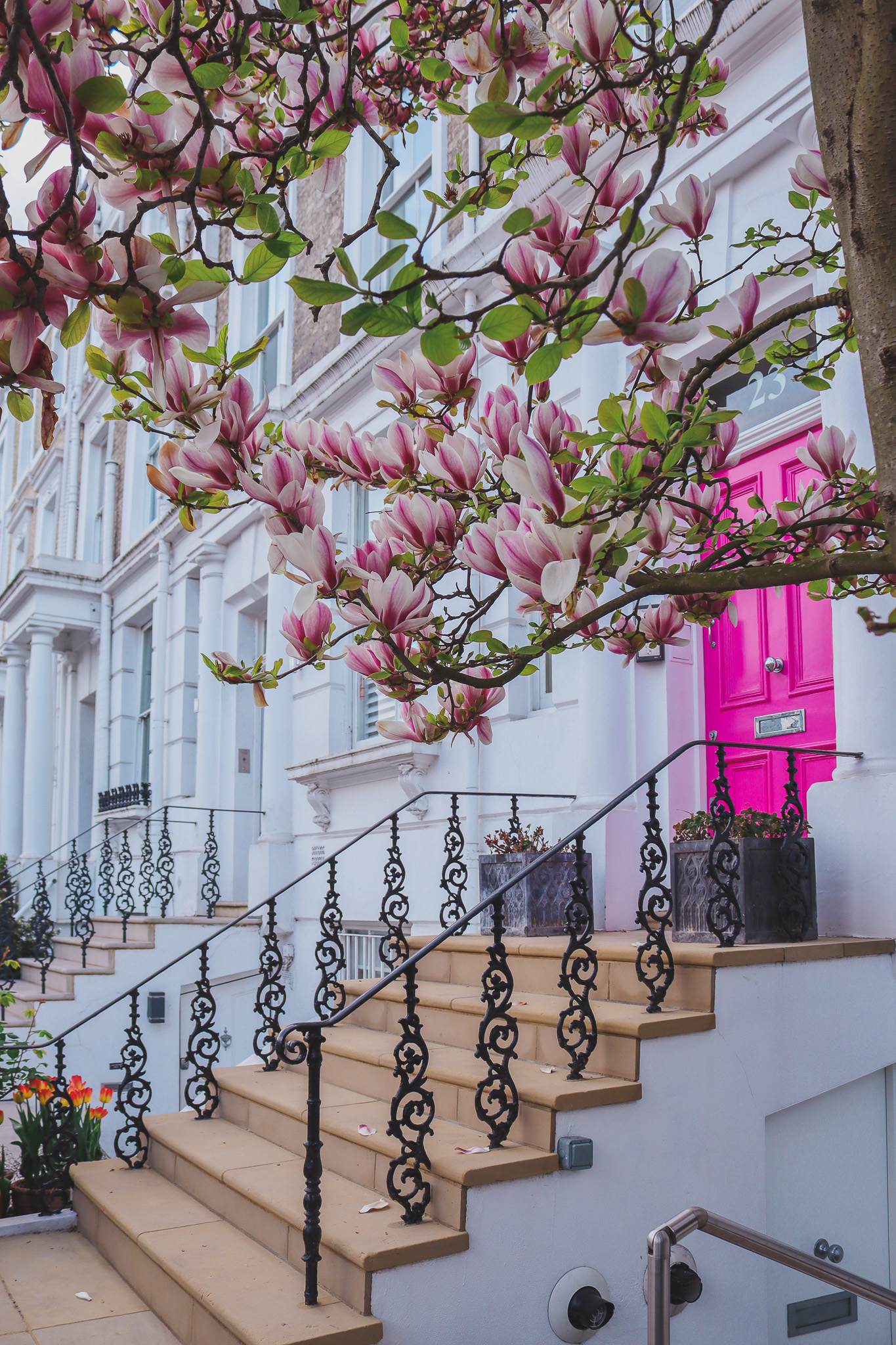 Portland Road, London, during spring