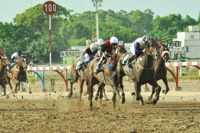 Hipódromo de La Plata