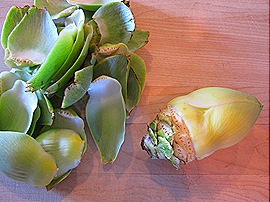 Tough Outer Leaves Removed