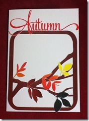 photo1