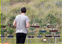 Bonsai Tree Buy! :Orlando Bloom