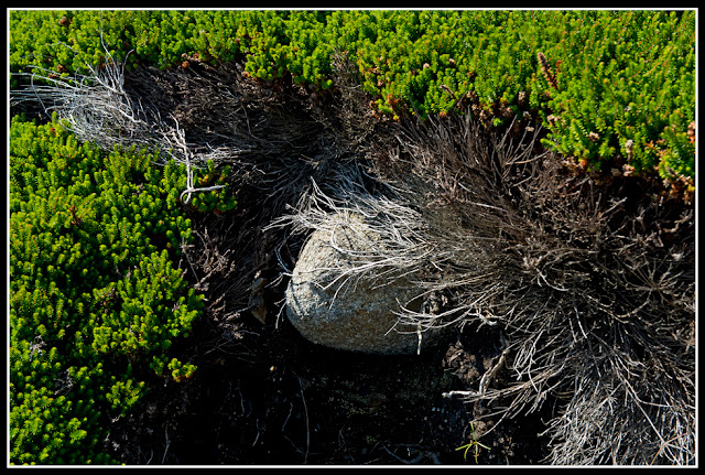 Nova Scotia, Gaff Point