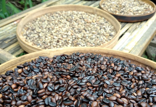 Luwak Coffee Beans