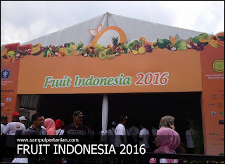 Hari pertama Fruit Indonesia 2016, "Monas" menjadi primadona